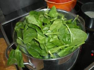 Creamed Spinach, cauliflower puree 012