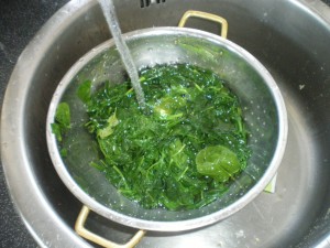 Creamed Spinach, cauliflower puree 014