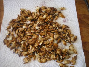 Roasted pumpkin seeds 029
