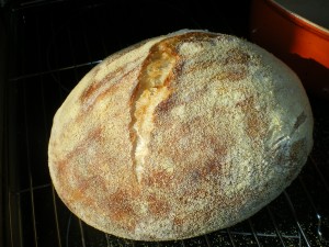 bread 015