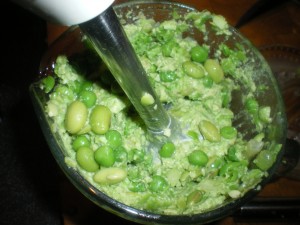 Apples, pea and soya bean hummus 015