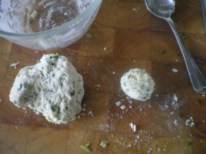 Brisket, chcicken casserole and dumplings 031