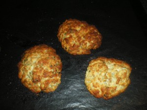 mashed celeriac, lamb and dumplings 029