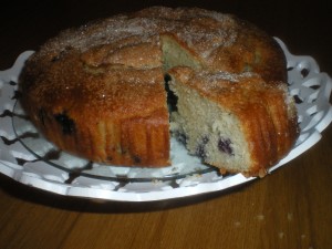 woodpigeon, Christmas pud stuffing, blueberryyoghurt cake 090